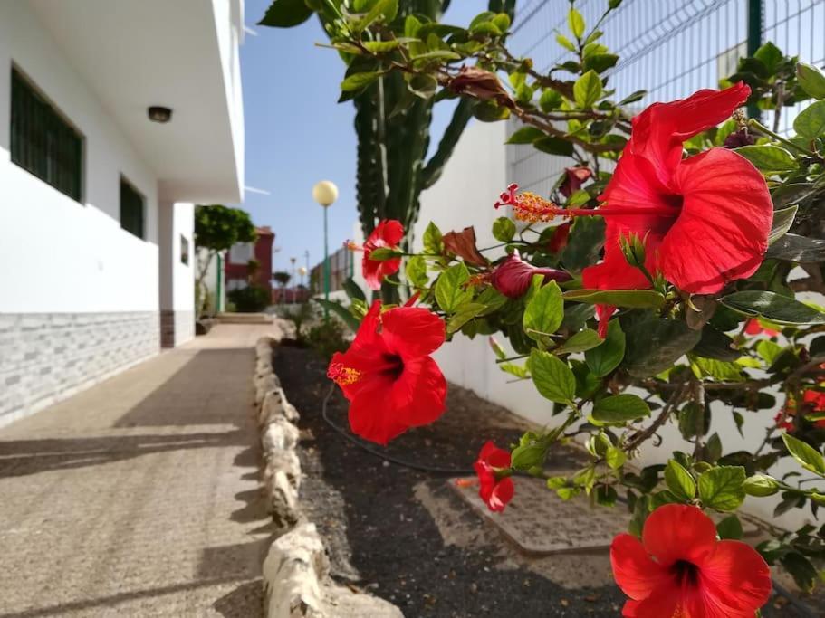 Casa Azul Lejlighed Costa De Antigua Eksteriør billede