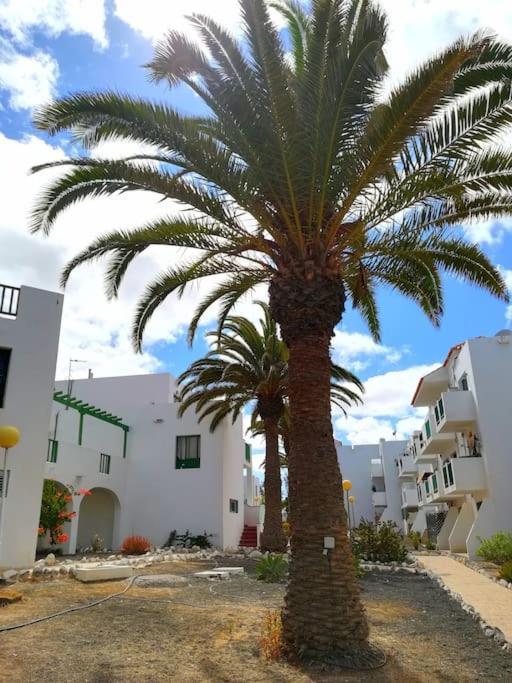 Casa Azul Lejlighed Costa De Antigua Eksteriør billede